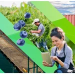 Empresas regionales participarán en encuentro exportador que reunirá a compradores de 27 mercados internacionales