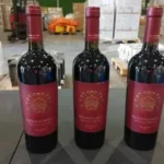 De vasos a cuatrimotos: Revisa la amplia oferta de la quinta Subasta Aduanera del año
