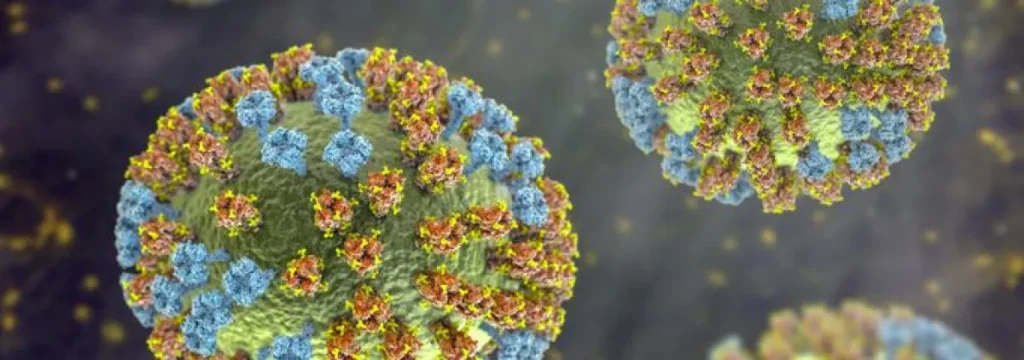 Minsal confirma la detección de nueva variante de influenza A(H3N2) en Chile