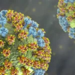 Minsal confirma la detección de nueva variante de influenza A(H3N2) en Chile