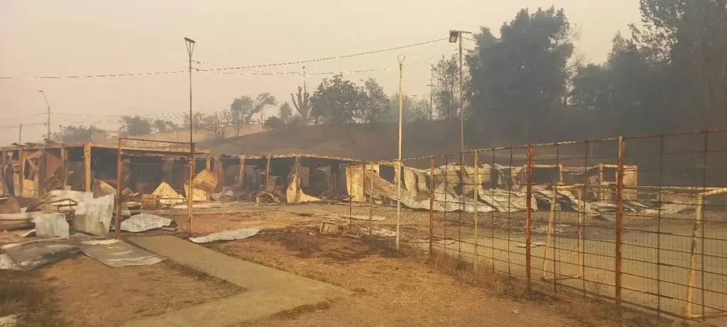 Gobierno confirma 16 fallecidos por incendios forestales en el Bío Bío y Ñuble