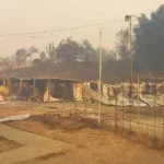 Gobierno confirma 16 fallecidos por incendios forestales en el Bío Bío y Ñuble