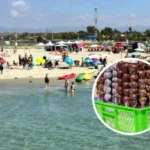 Claramente tóxico: Autoridad alerta por frutillas con chocolate que se venden en playas