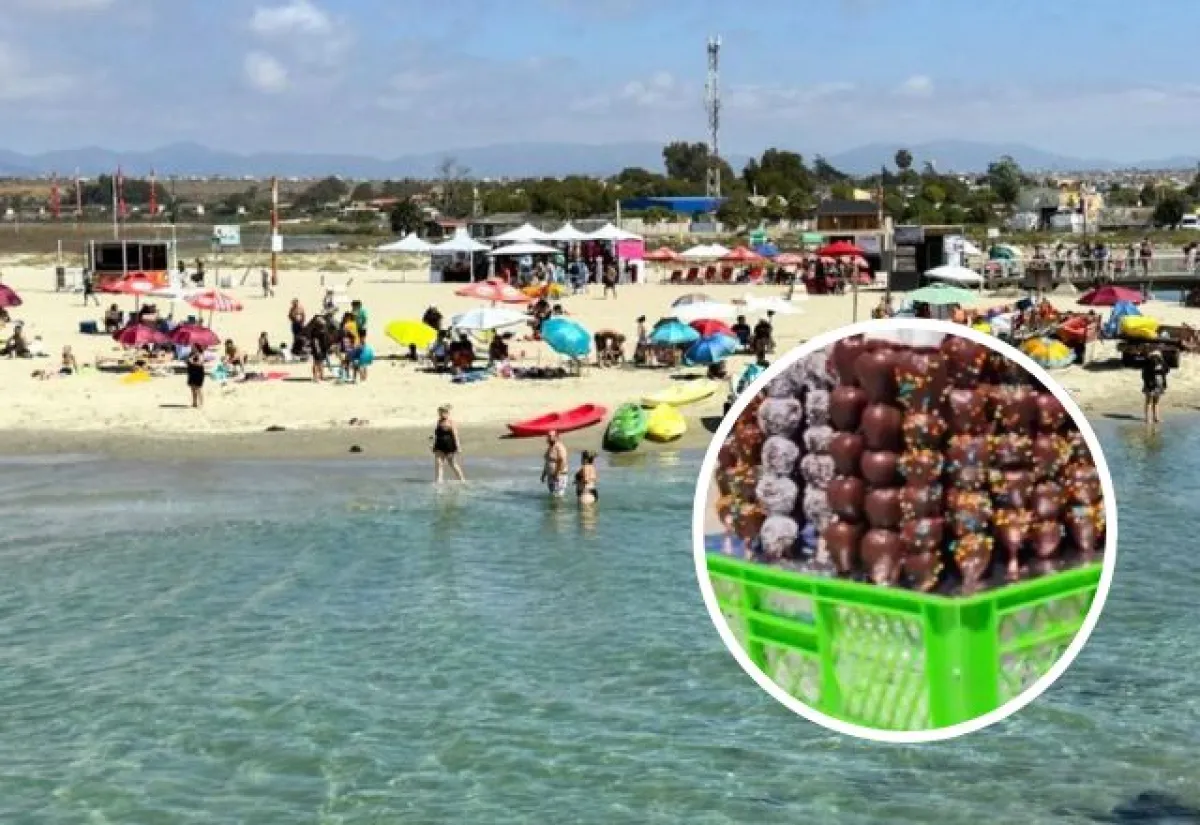 Claramente tóxico: Autoridad alerta por frutillas con chocolate que se venden en playas