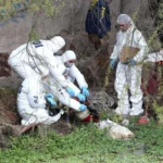 Radiografía delictiva: Delitos suben 15,8% en 2025 y bajan los homicidios