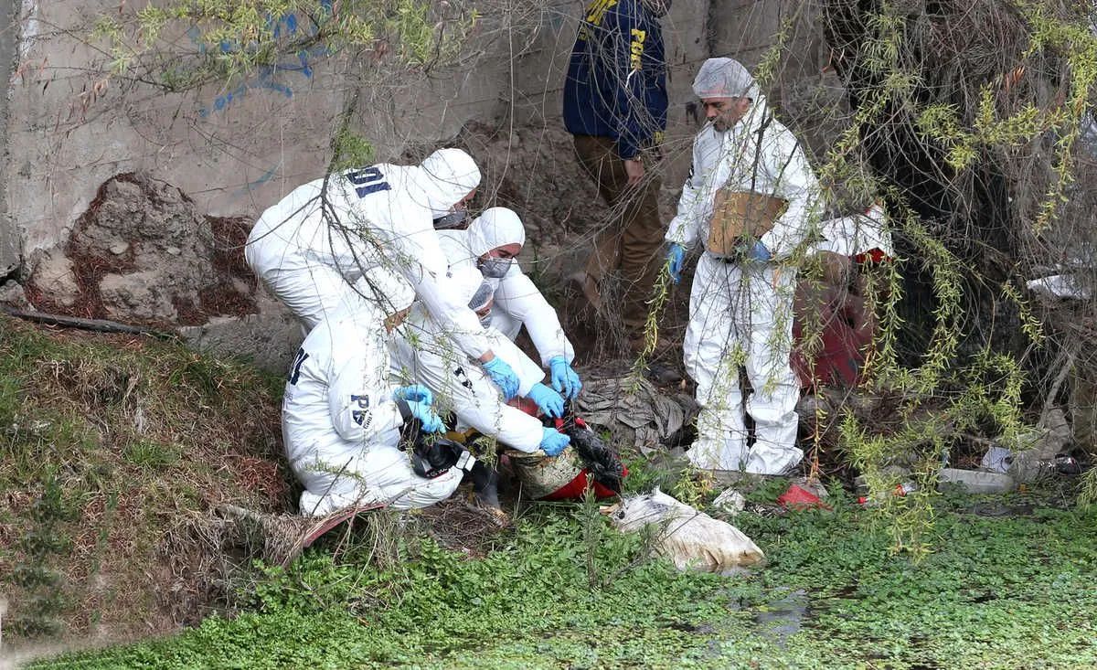 Radiografía delictiva: Delitos suben 15,8% en 2025 y bajan los homicidios