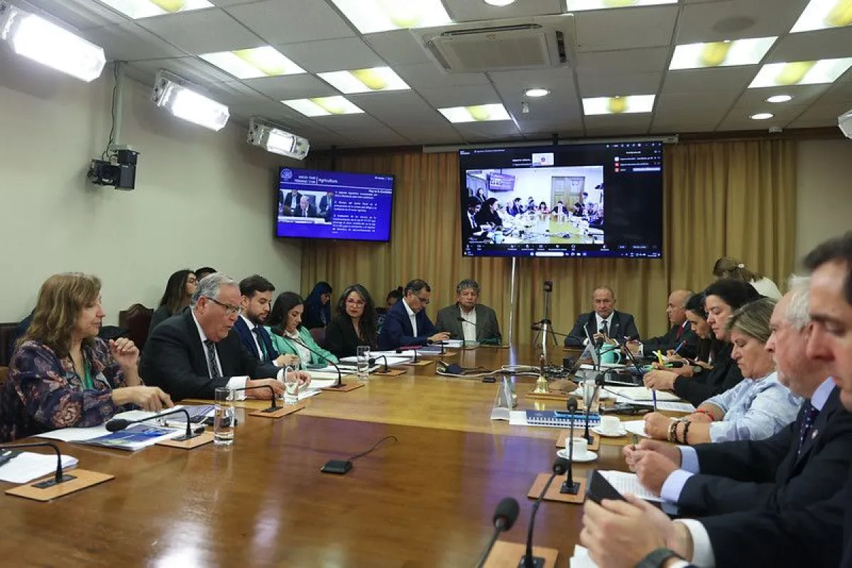 Diputados oficialistas piden excluir a ministerios clave del recorte presupuestario del 3%