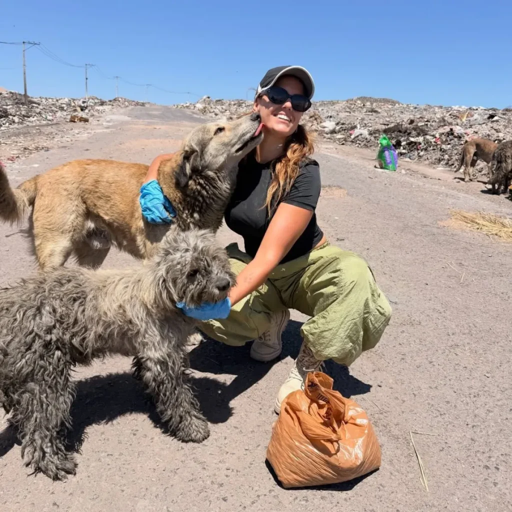 La cruzada de una joven chilena para salvar a más de 100 perros abandonados en el desierto de Atacama
