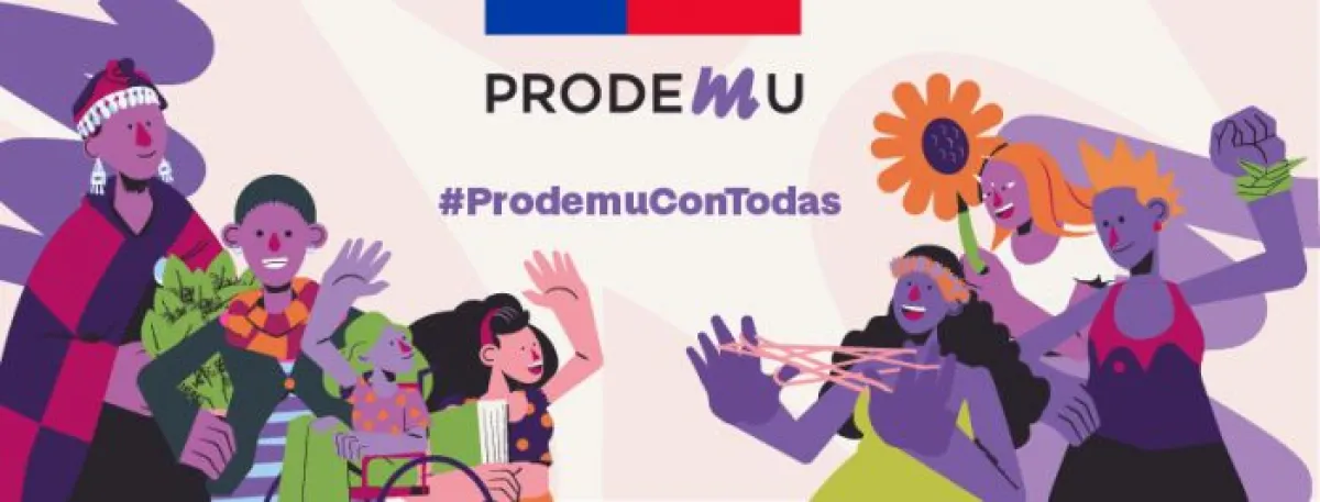 Prodemu cerraría en marzo de 2027 si el Congreso no revierte decisión: 380 trabajadores quedarían en vilo